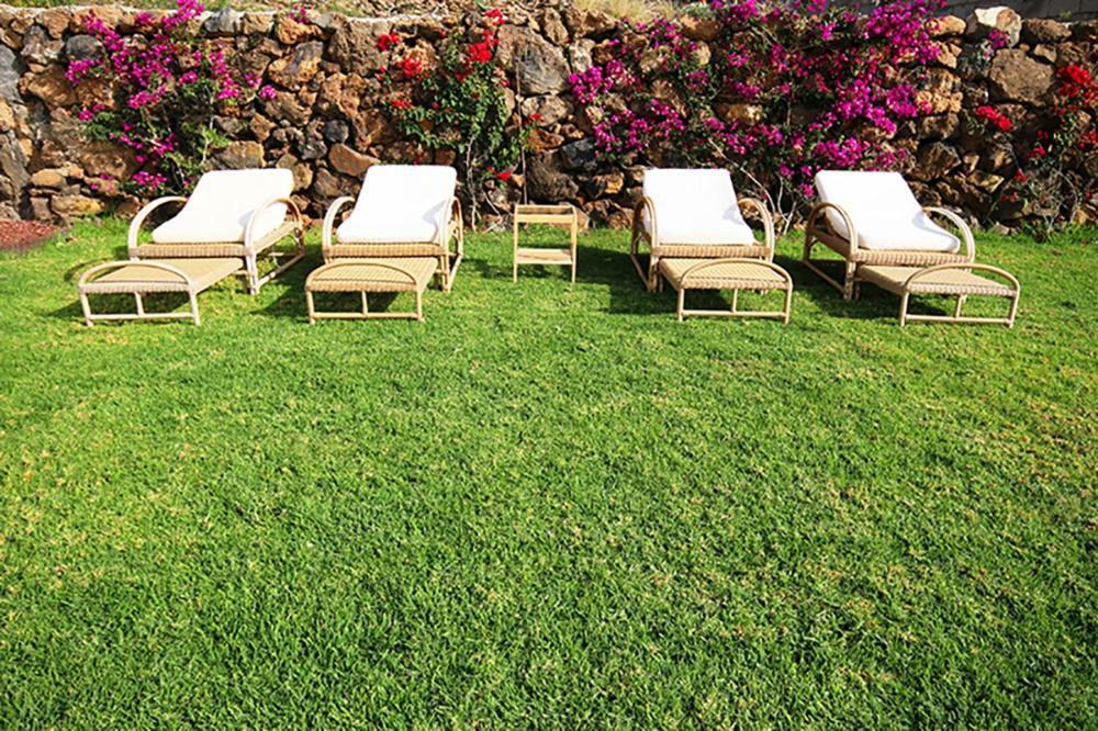 Villa Albe, Jacuzzi Con Vistas Al Mar Arona  Ngoại thất bức ảnh